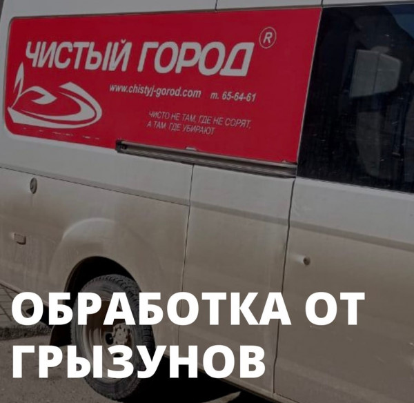 обработка от грызунов