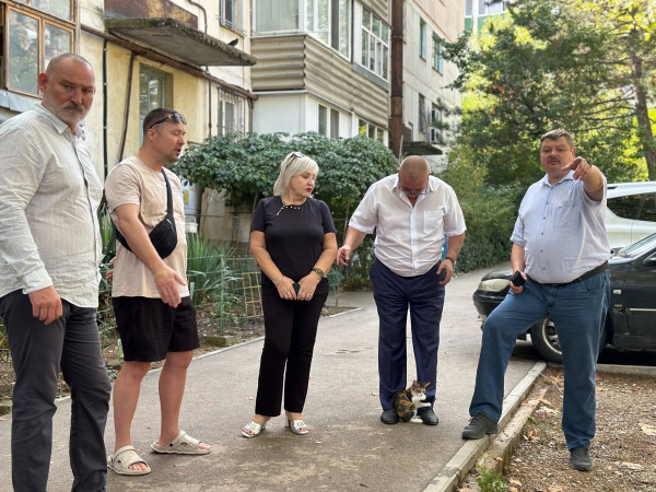 &laquo;Крепко обнял ногу&raquo;.  В Севастополе котёнок попросил депутата забрать его домой