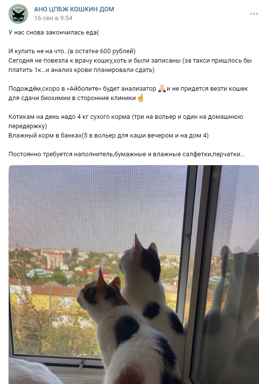 zakonchilas-eda.png