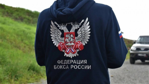 бокс