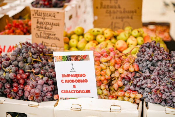 Цены на продукты осенью будут изменяться под влиянием сезонности, инфляции и погодных условий