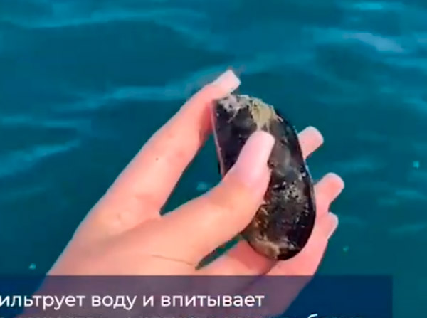 Как Черное море кормит россиян?